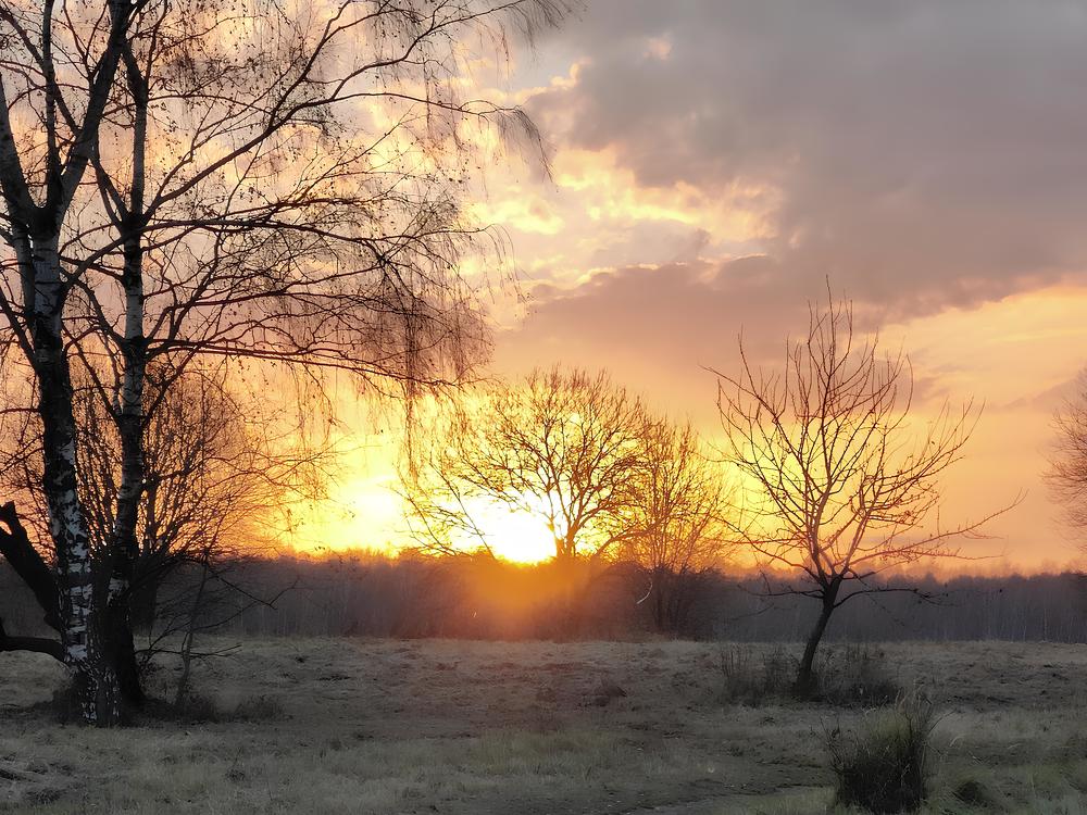 Photograph by Андрей Шевченко