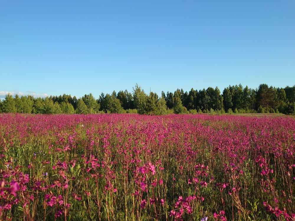 Photograph by Наталия Игоревна