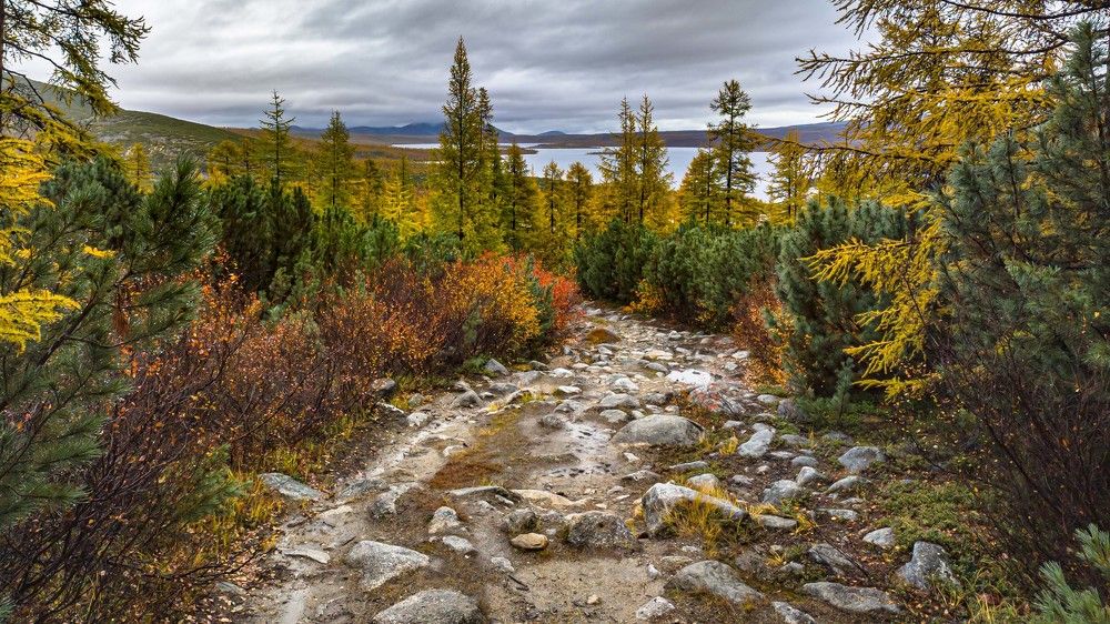 Фотография автора Александр Довганюк