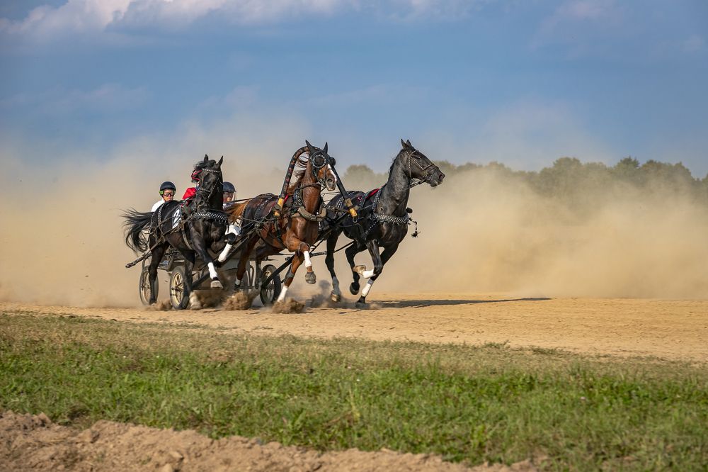 Photograph by Екатерина Лурина