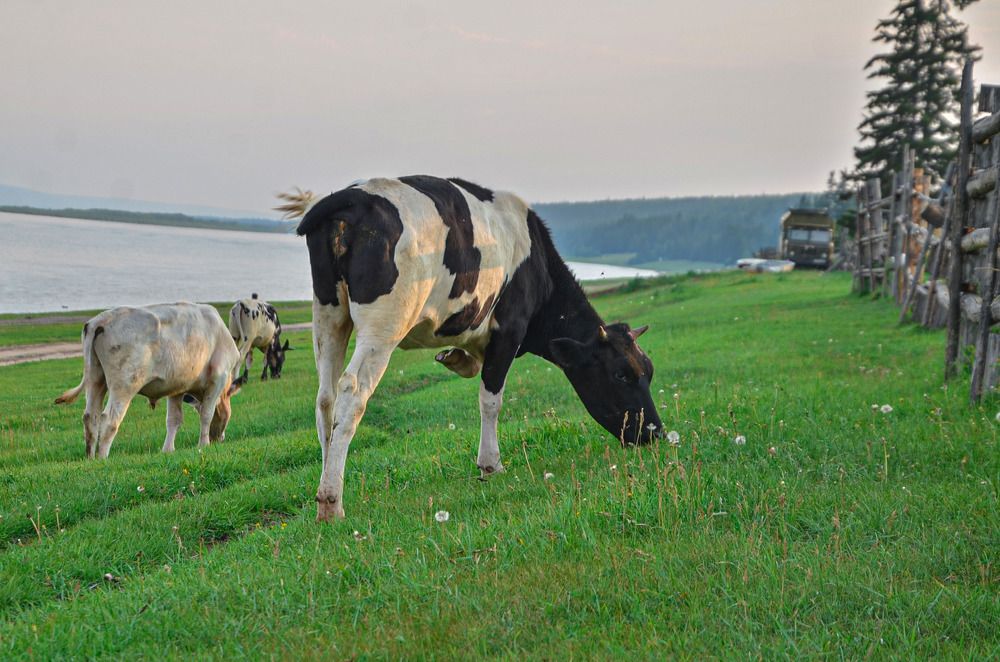 Photograph by Анастасия Тетерина