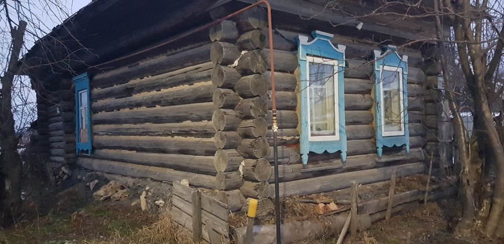 Фотография автора Ольга Мусина