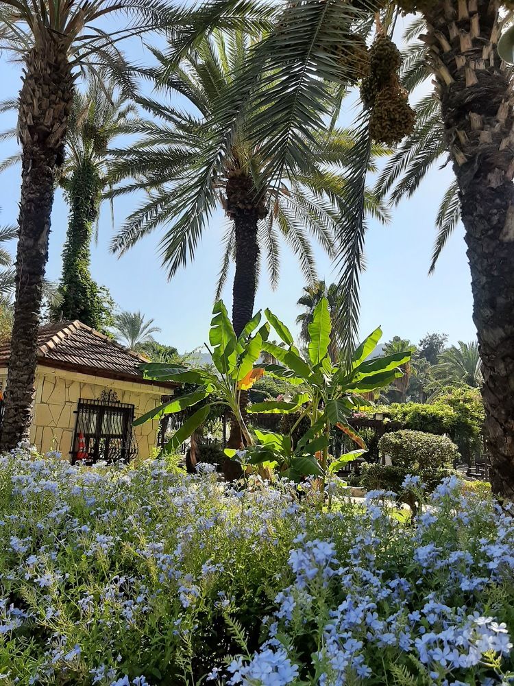 Photograph by Елена Горева