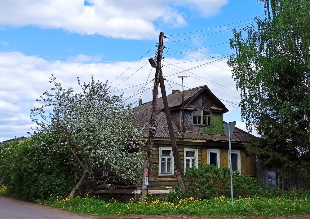 Photograph by Елена Должикова