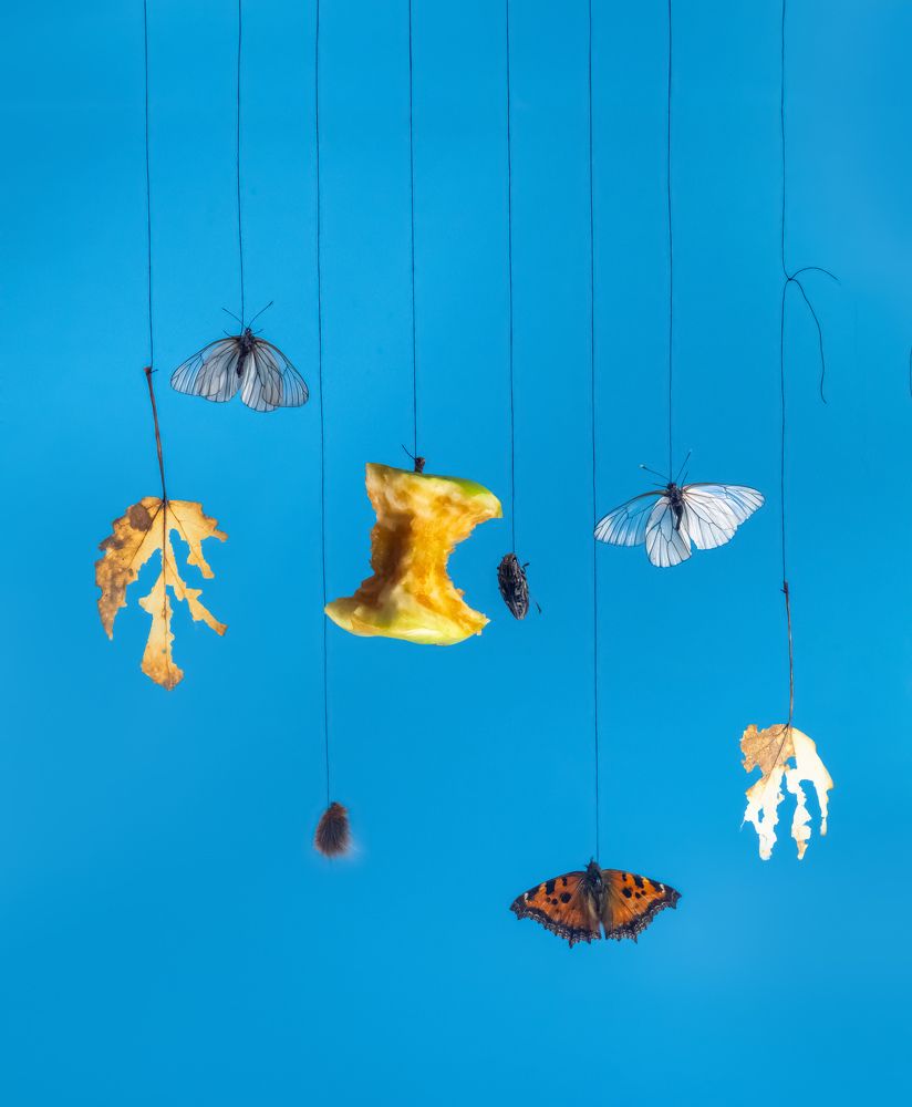 Photograph by Margarita