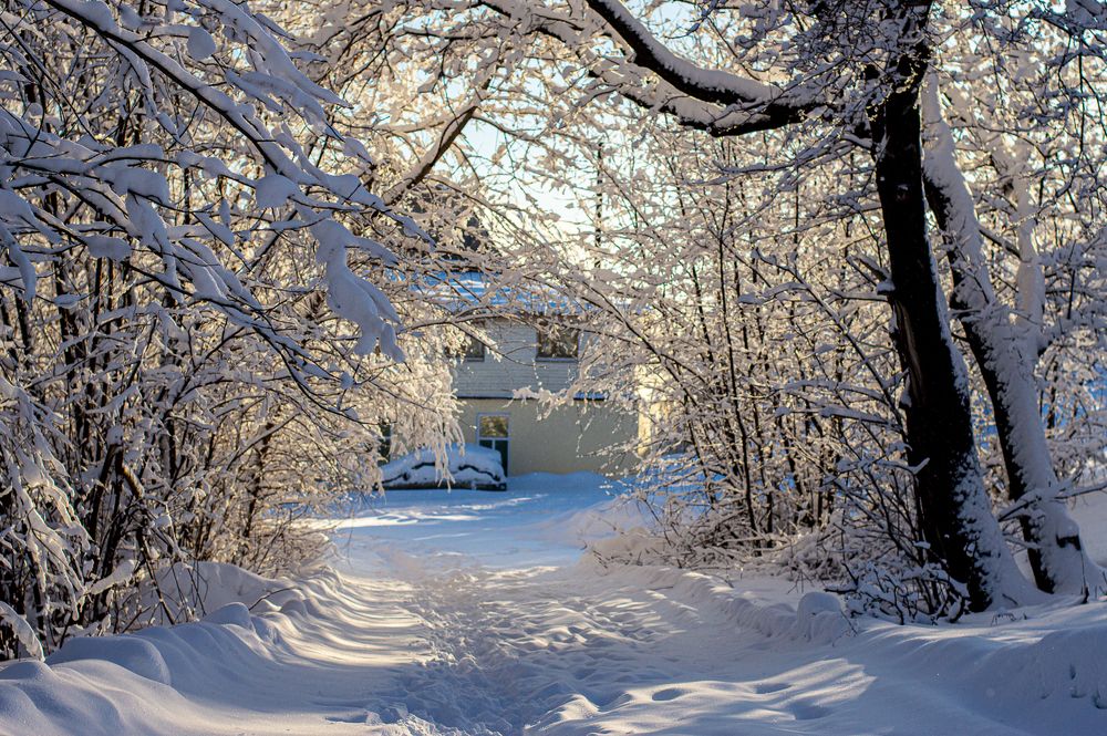 Photograph by Наталья Шамарина