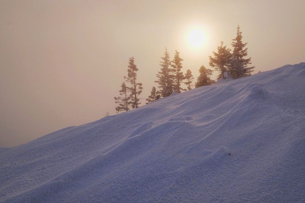 Photograph by Константин Степанов