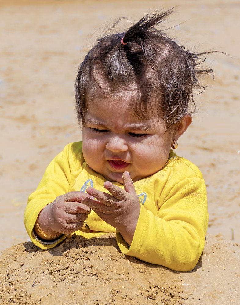 Фотография автора shima mokhtari