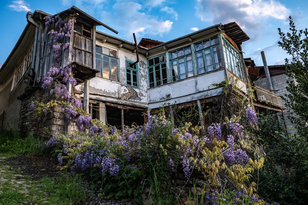 Photograph by Vladimir