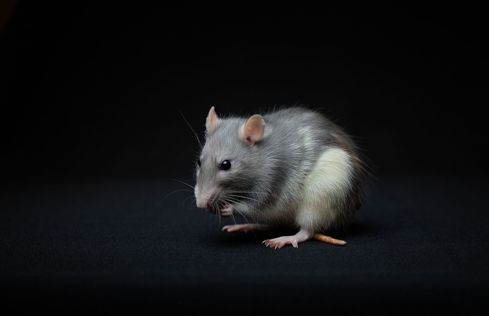 Photograph by Роман Гудзь