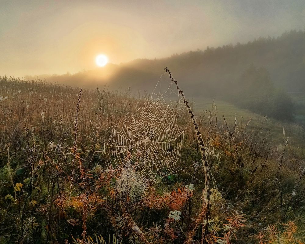 Photograph by Светлана Кондрашова