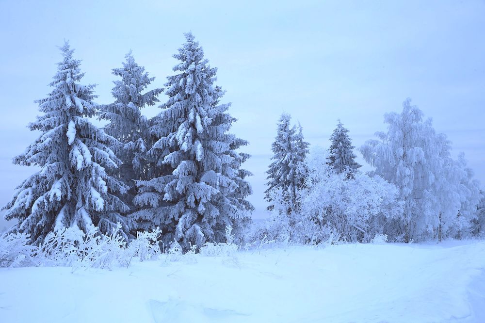 Фотография автора Юрий Кетель
