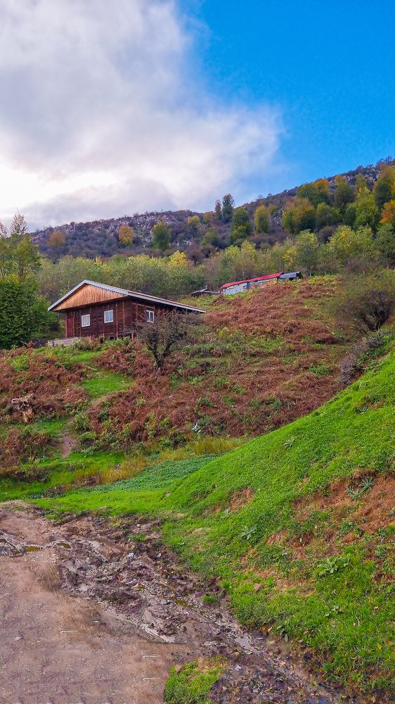 Фотография автора Mina Mohammadi.b