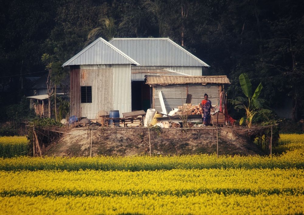 Фотография автора Washiful Majid