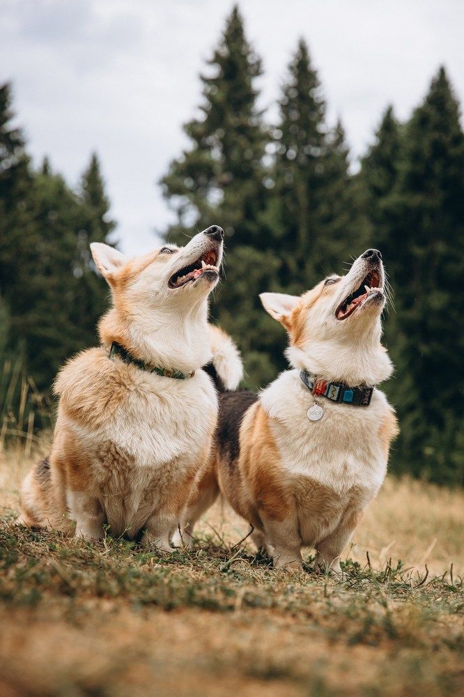 Photograph by Олеся Лесная