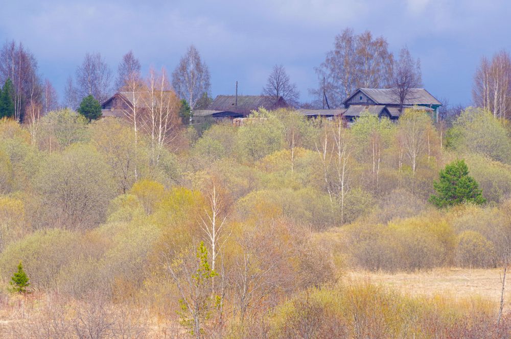 Photograph by Дмитрий Смирнов