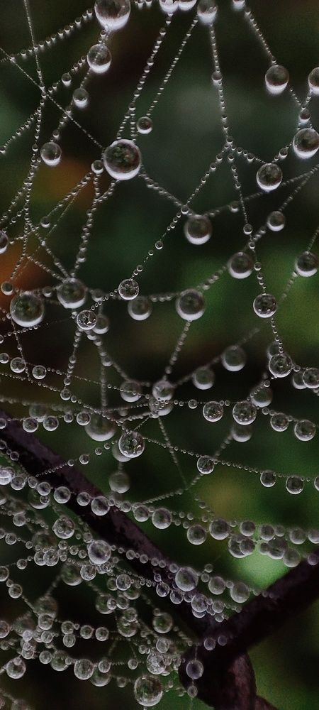 Photograph by Екатерина Федотова