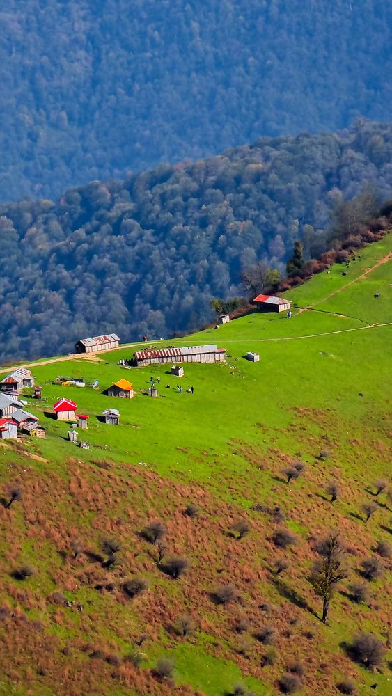 Фотография автора Mina Mohammadi.b