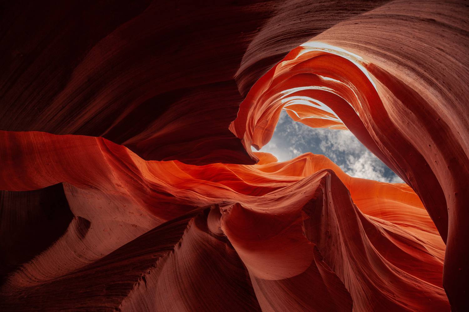 Фотография #10223609