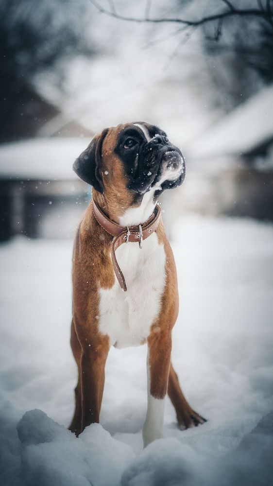 Photograph by Елена Раздвилова