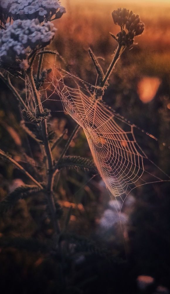 Photograph by Наталья Исиченко