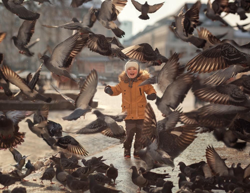 The boy and the birds
