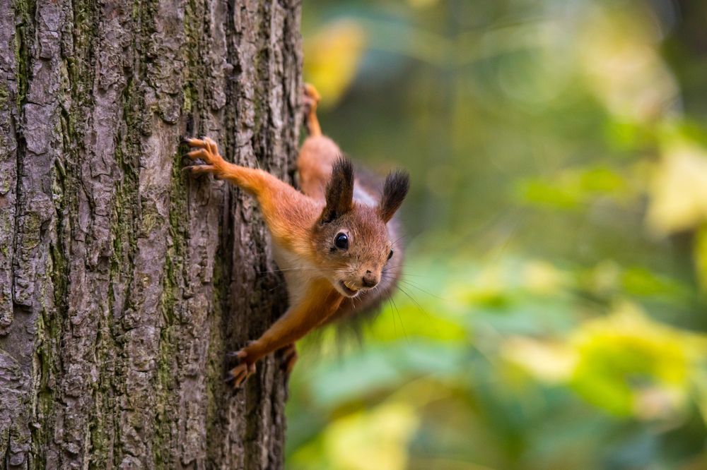 Фотография автора Марат Габидуллин