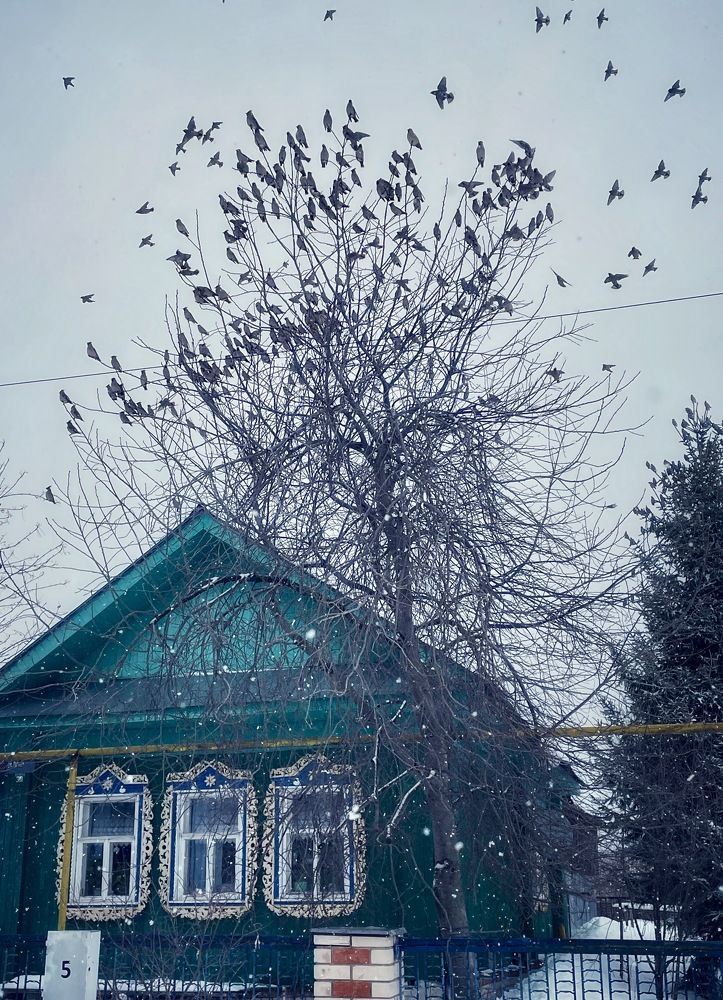 Фотография автора Рамзия Хисамутдинова