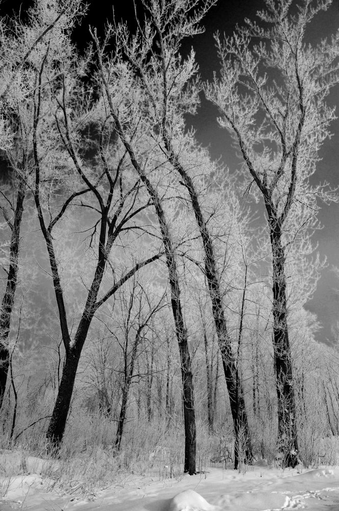 Photograph by Владимир Щеголев