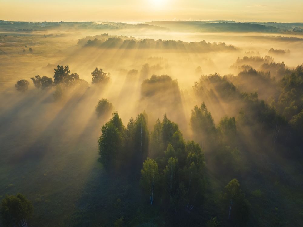 Photograph by Брытков Николай