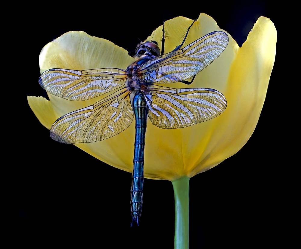 Photograph by Наталья Соколова