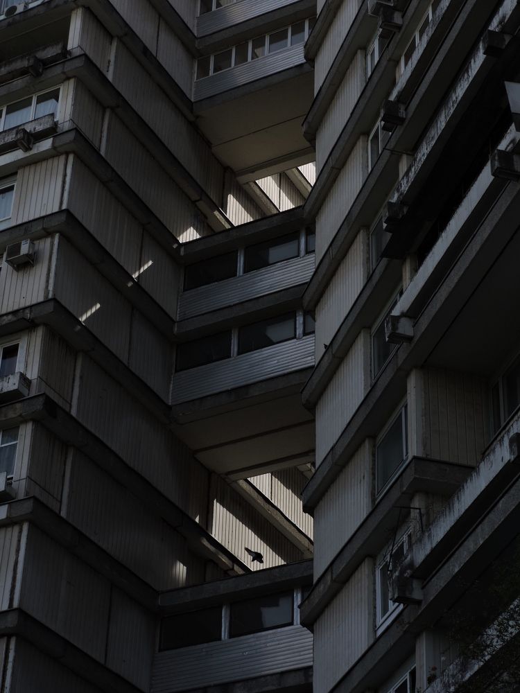 Photo #10223746