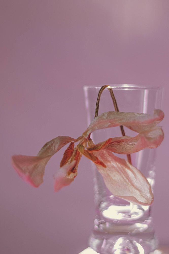 Photograph by Ольга Барулина