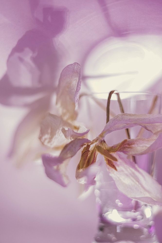 Photograph by Ольга Барулина