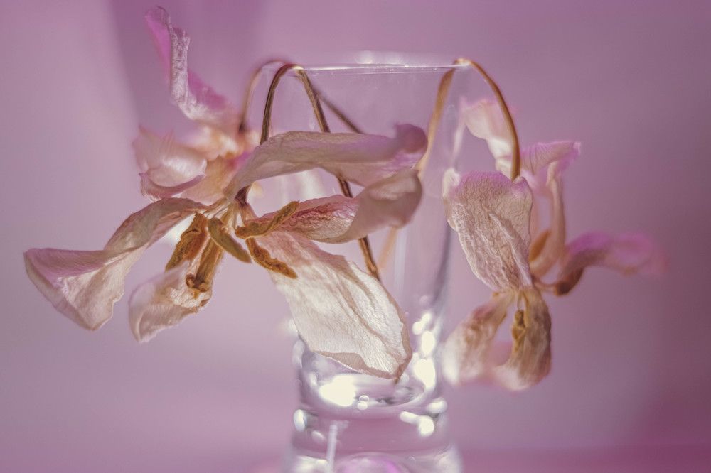 Photograph by Ольга Барулина
