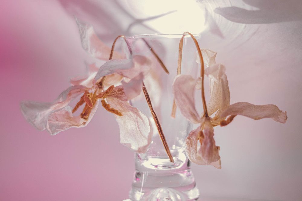 Photograph by Ольга Барулина