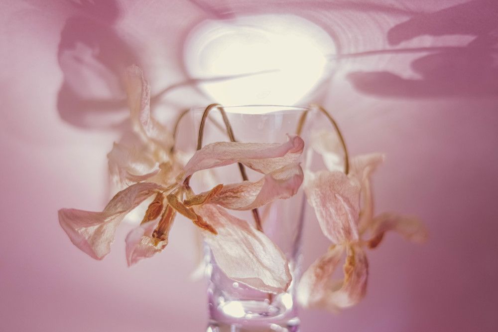 Photograph by Ольга Барулина