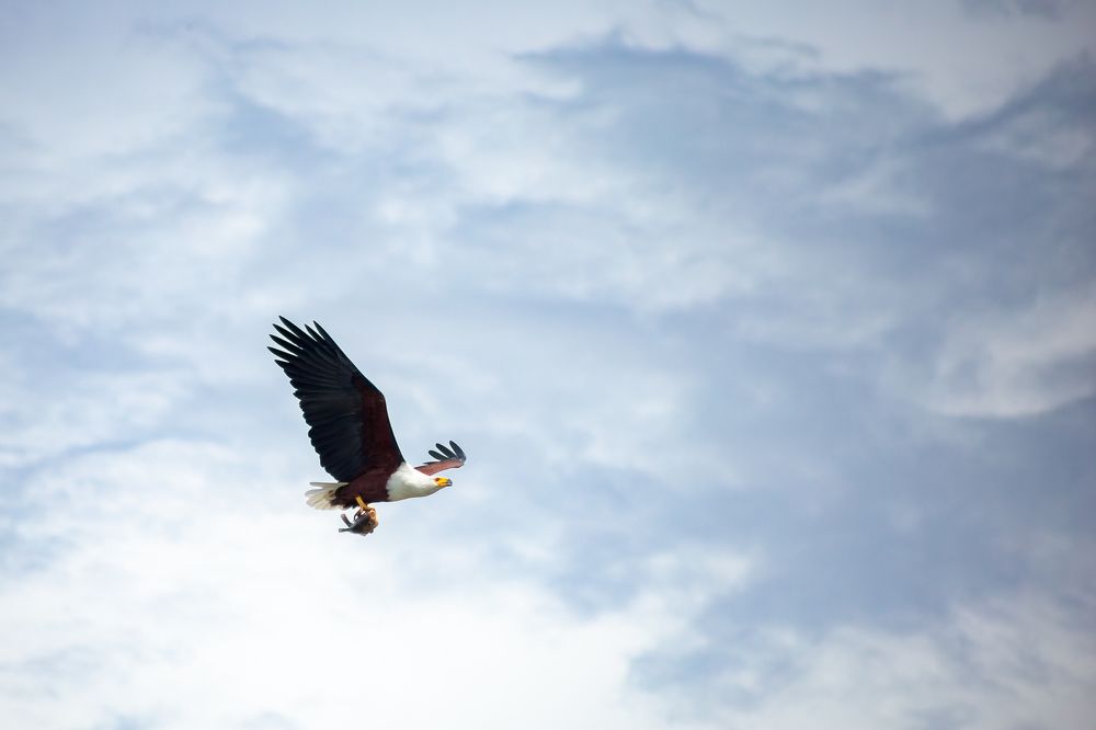 Photograph by Sara Fernandes