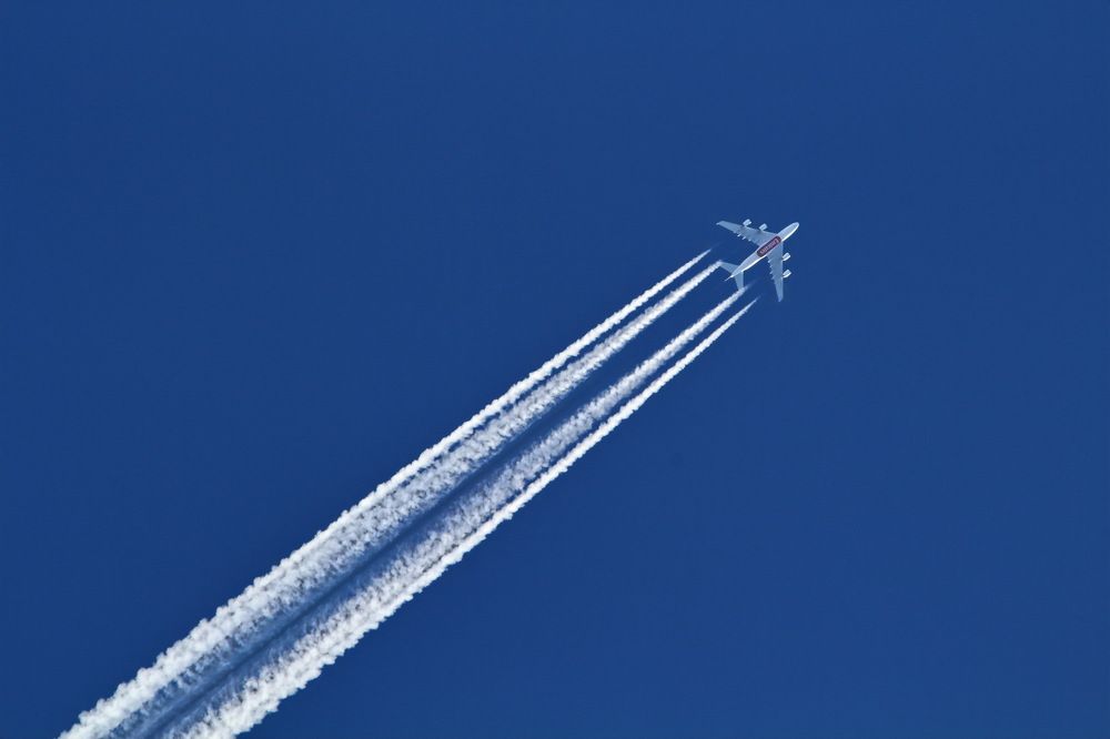 Фотография автора Александр Челмодеев