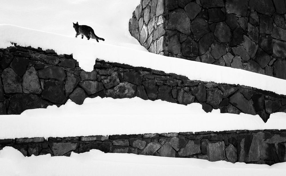 Photograph by Artin darvishi