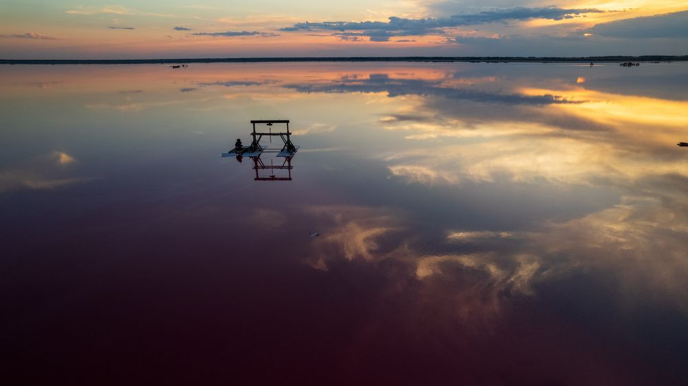 Фотография автора Totoro D