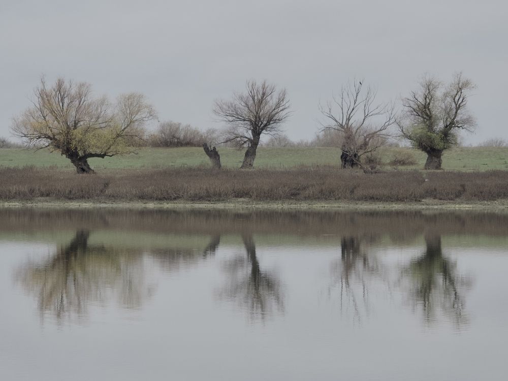 Photograph by Светлана Георкова