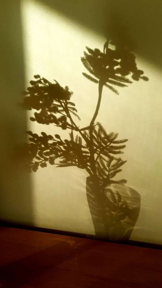 Photograph by Елена Глухова