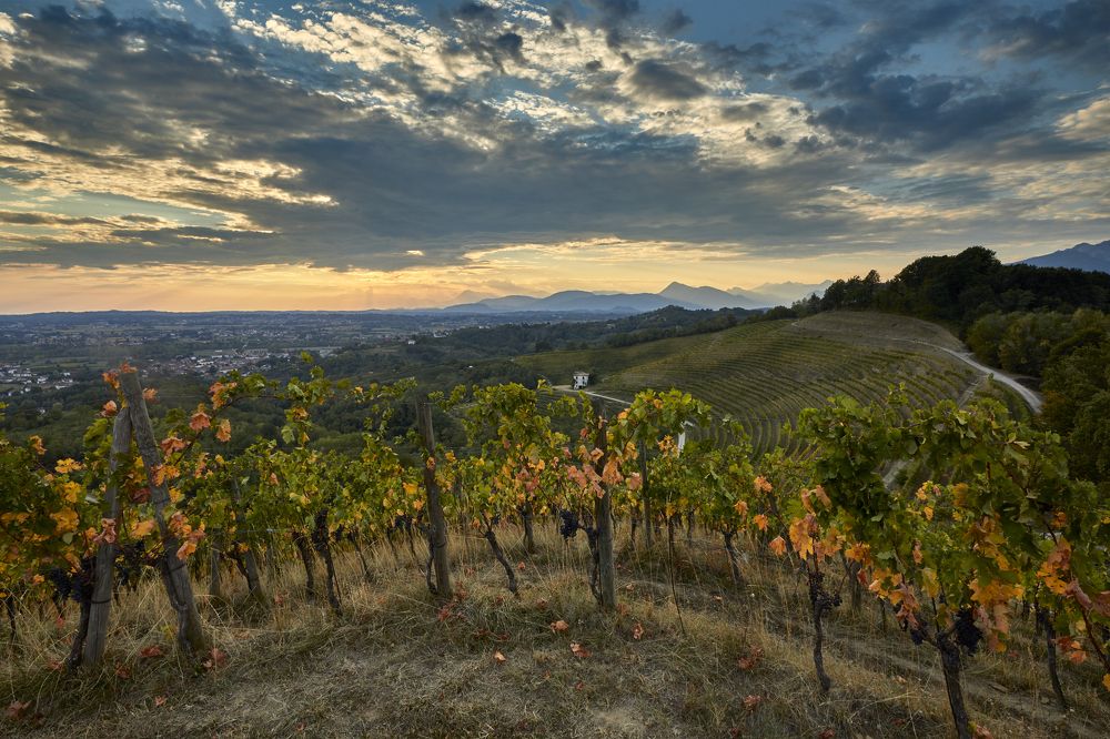 Photograph by SONIA FATTORI