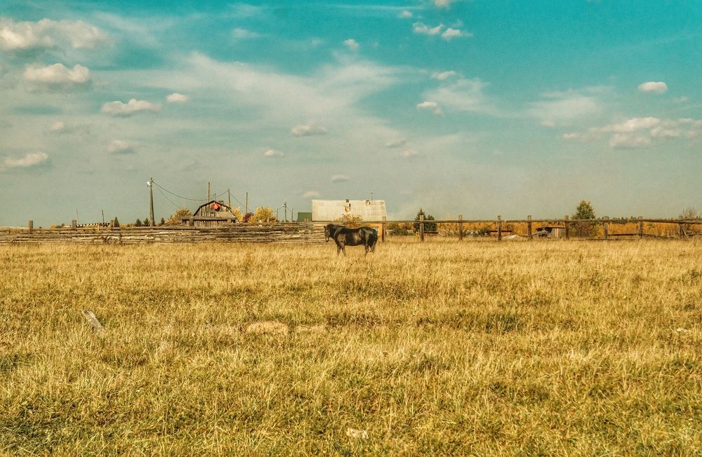 Photograph by Nikita Ostarkov