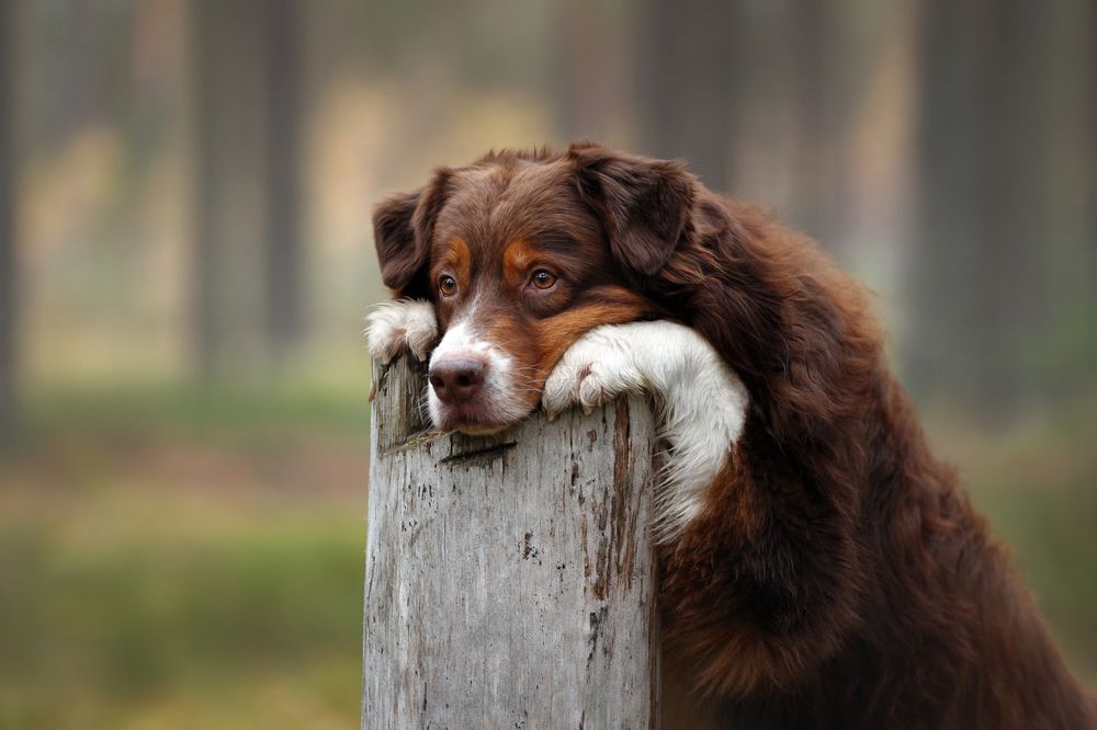 Photograph by Надежда Иванова