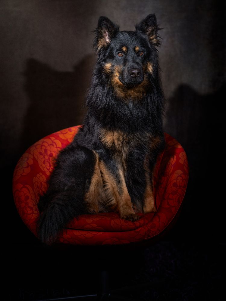 Фотография автора Christian Kieffer