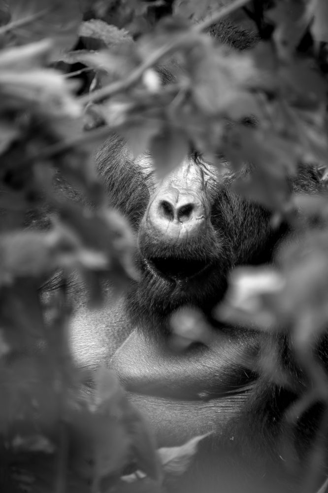 Photograph by Sara Fernandes