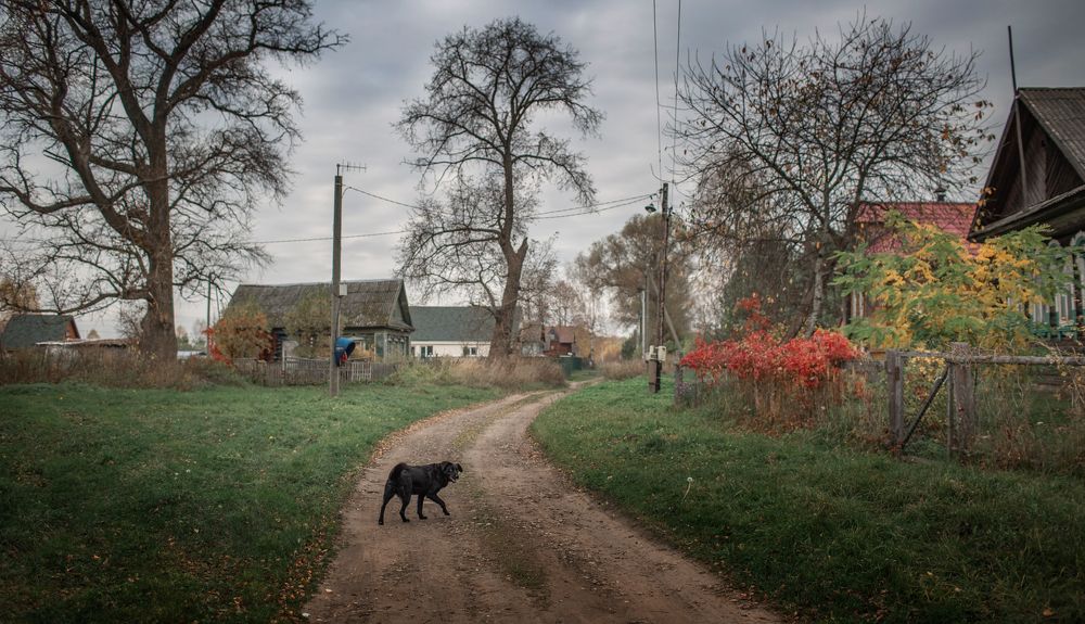 Photograph by Ирина Платонова