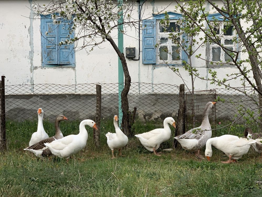 Photograph by Кирилл Халимонов